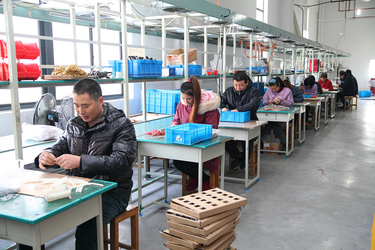 Ningbo Yuexiang Electric Appliance Co., Ltd. 製造者の生産ライン